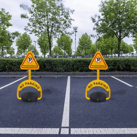 Automatic Swing Barrier Gate for Supermarket Entry - Radar & Infrared Smart Sensor Pedestrian Access Control System